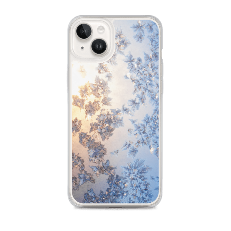 Ice Case for iPhone